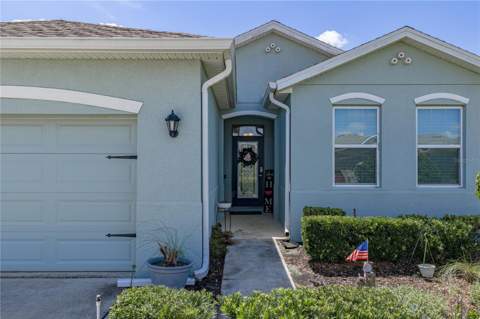 31785 Tansy Bend, Wesley Chapel FL - photo 7 of 59