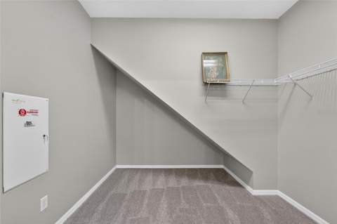 21744 Waverly Shores Lane, Land O Lakes FL - photo 23 of 59