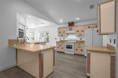127 N Golf Harbor Path, Inverness FL - photo 11 of 57