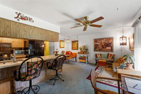 10541 Green Meadow Lane, Port Richey FL - photo 15 of 48