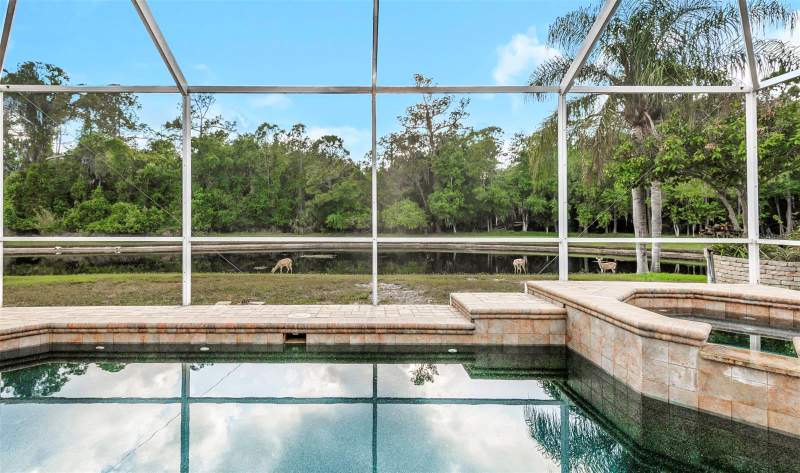 4 bedroom Single Family Residence at 4152 Grandchamp Circle, Golfside, Palm Harbor — photo 3