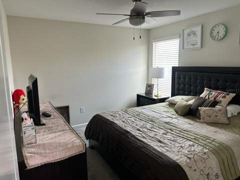 4499 Magnolia Ridge Court, Kissimmee FL - photo 13 of 43