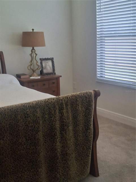 12618 Vander Way, New Port Richey FL - photo 8 of 22