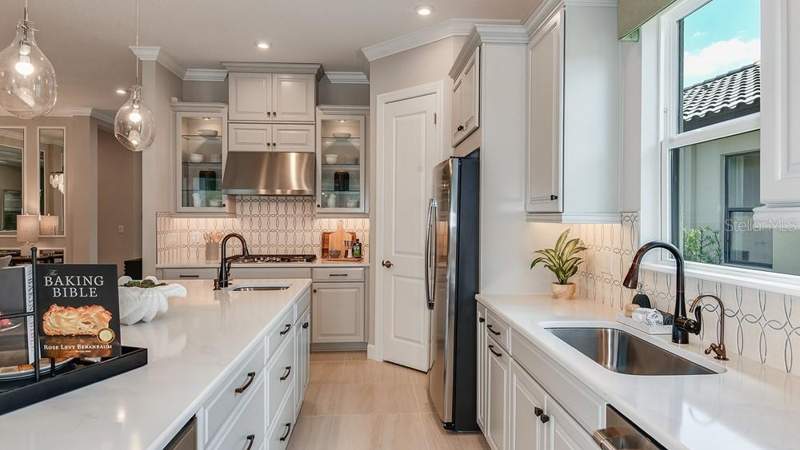 3 bedroom Single Family Residence at 29668 Imperati Boulevard, Esplanade At Wiregrass Ranch, Wesley Chapel — photo 3