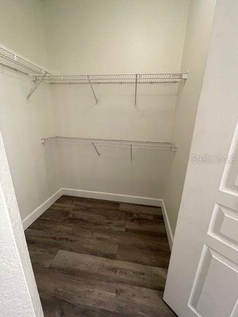 5125 Palm Springs Boulevard #11203, Tampa FL - photo 8 of 10