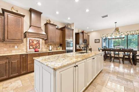 408 Hawk Talon Drive, Lithia FL - photo 14 of 59