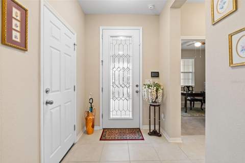 31046 Parrot Reef Court, Wesley Chapel FL - photo 8 of 99