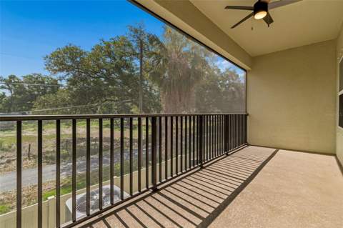 4436 Tuscan Loon Drive, Tampa FL - photo 14 of 60