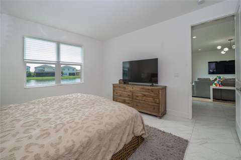 3290 Great Banyan Way, Wesley Chapel FL - photo 24 of 51
