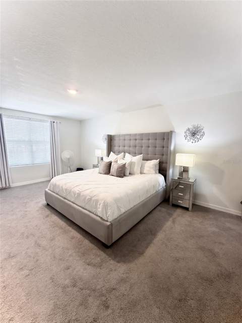 3727 Capri Coast Drive, Plant City FL - photo 11 of 22