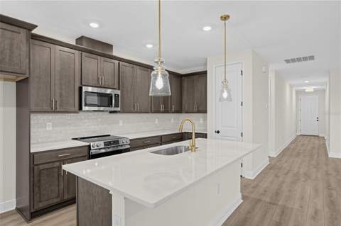 30134 Emerald Forest Drive, Mount Dora FL - photo 15 of 38