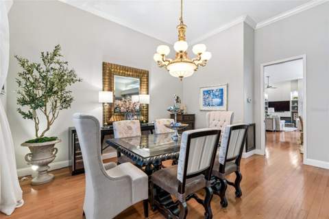 17705 Grey Eagle Road, Tampa FL - photo 12 of 78