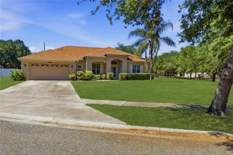 12929 Regiment Drive, Grand Island FL - photo 6 of 6