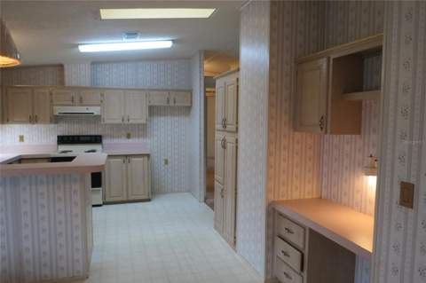 36603 Jodi Avenue, Zephyrhills FL - photo 6 of 58