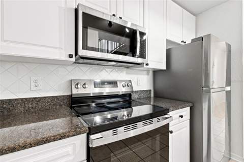 4221 W Spruce Street #2425, Tampa FL - photo 15 of 55