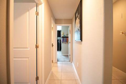 5466 Blue Azure Drive, Wimauma FL - photo 17 of 44