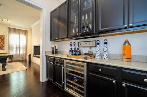 17526 Black Rail Street, Windermere FL - photo 24 of 95