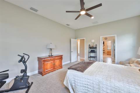 14269 Skipping Stone Loop, Parrish FL - photo 17 of 66