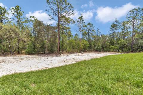 12197 SW 76 Lane, Dunnellon FL - photo 7 of 15