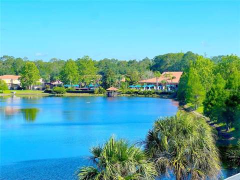 3113 Yellow Lantana Lane, Kissimmee FL - photo 19 of 38