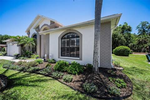 6646 Garden Palm Court, New Port Richey FL - photo 8 of 79