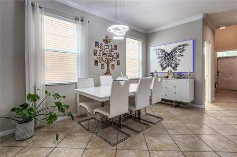 949 Terra Vista Street, Brandon FL - photo 20 of 36