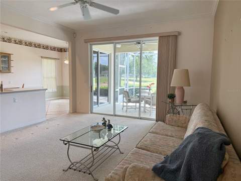 3445 Capland Avenue, Clermont FL - photo 11 of 52
