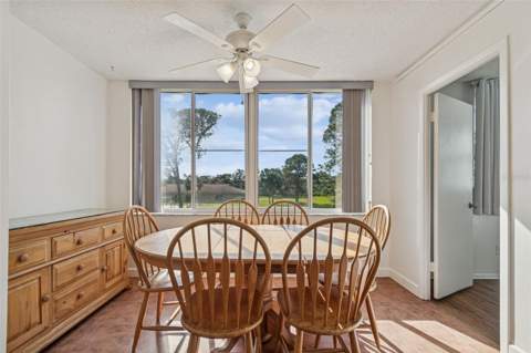 4885 1st Street #203, St Petersburg FL - photo 17 of 51