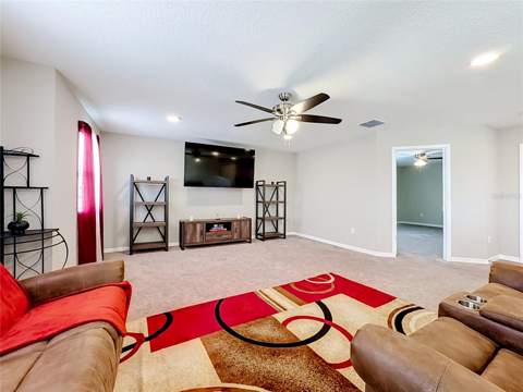4923 Eagle Rock Drive, Wimauma FL - photo 19 of 44