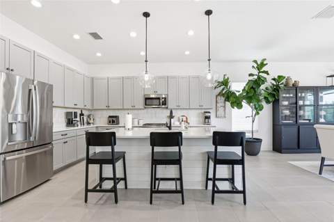 32490 Tree Of Life Avenue, Wesley Chapel FL - photo 21 of 88