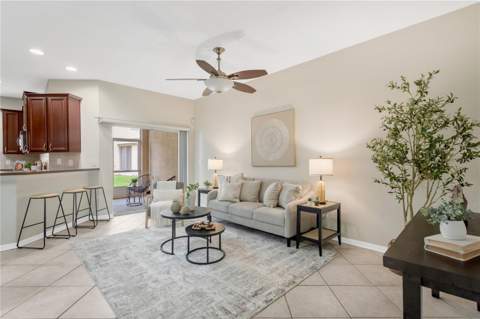 1133 Andrew Aviles Circle, Tampa FL - photo 6 of 6