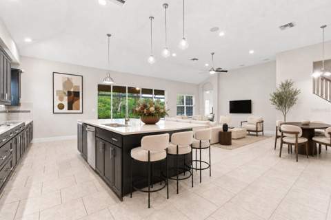 8318 Swiss Chard Circle, Land O Lakes FL - photo 12 of 62
