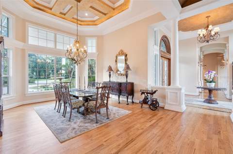 30215 Redtree Drive, Leesburg FL - photo 7 of 63