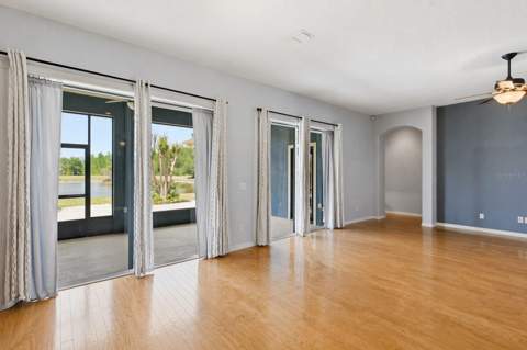 20629 Wild Plum Court, Land O Lakes FL - photo 13 of 89