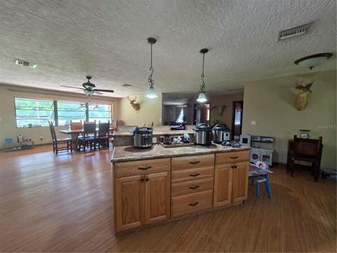 43451 & 43631 Farabee Road, Punta Gorda FL - photo 11 of 87