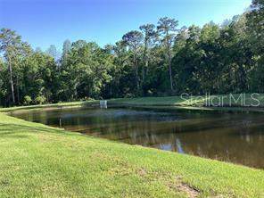 17522 Nectar Flume Drive, Land O Lakes FL - photo 13 of 13