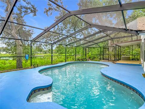12721 N Armenia Avenue, Tampa FL - photo 7 of 82