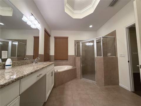 19314 Red Sky Court, Land O Lakes FL - photo 17 of 28