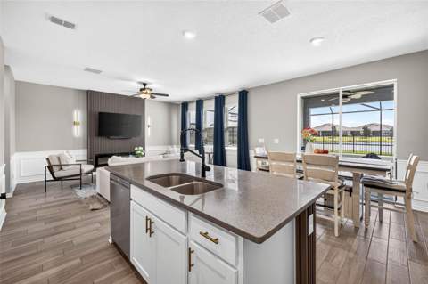 34117 White Fountain Court, Wesley Chapel FL - photo 17 of 99