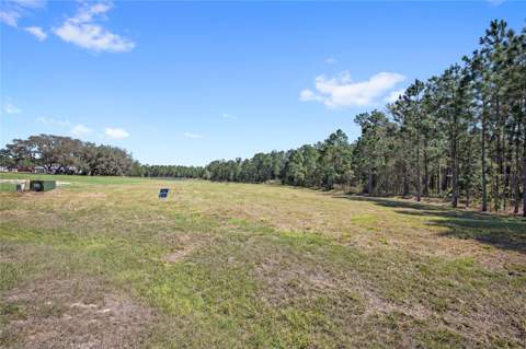 20280 Shoreline Ranch Lane, Umatilla FL - photo 7 of 15