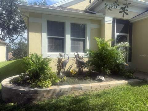 803 Wolf Creek Street, Clermont FL - photo 7 of 54