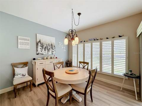 25543 Maurepas Lane, Leesburg FL - photo 19 of 60