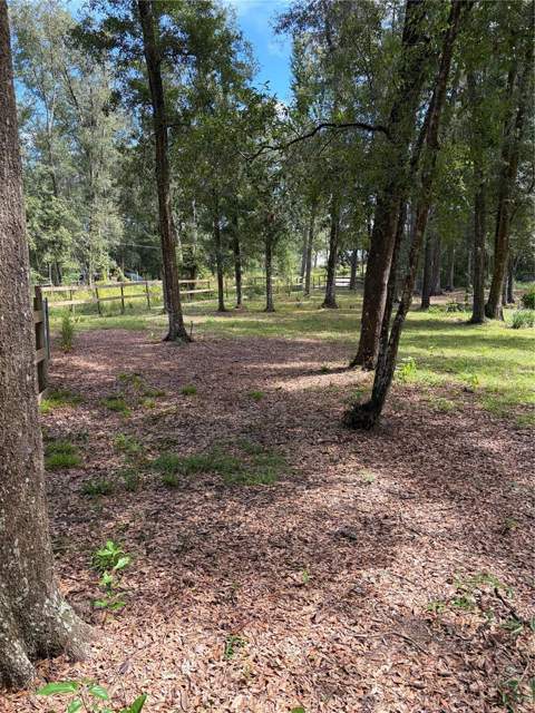 6401 Sunnyside Ranch Road, Brooksville FL - photo 11 of 80