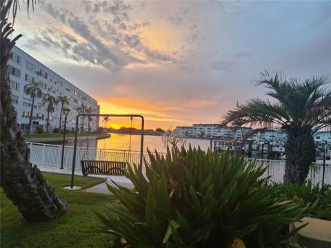 3128 59th Street #115, Gulfport FL - photo 23 of 26