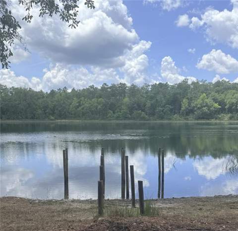 14730 SE 61st Street Road, Ocklawaha FL - photo 6 of 6