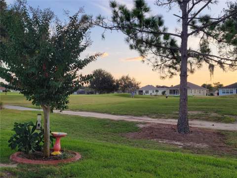 27343 Roanoke Drive, Leesburg FL - photo 24 of 99