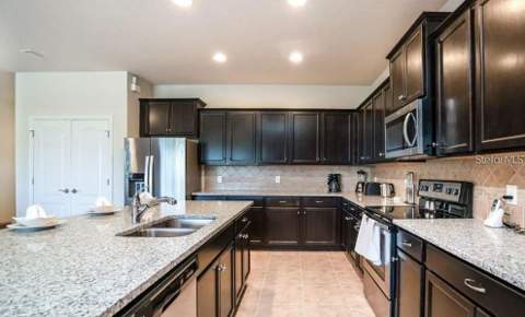 8817 Corcovado Drive, Kissimmee FL - photo 8 of 37