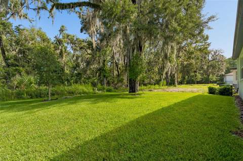 19451 Forest Garden Court, Brooksville FL - photo 17 of 17