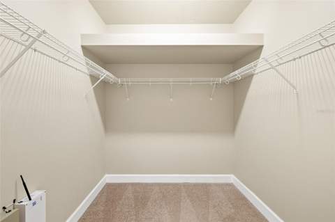 14543 Mirabelle Vista Circle, Tampa FL - photo 24 of 52