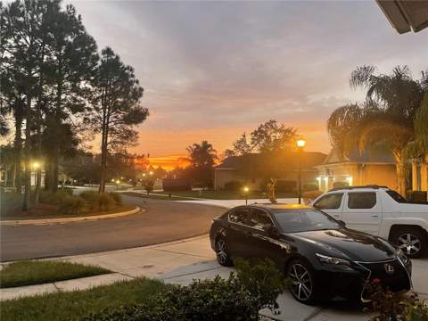 10503 Palm Cove Avenue, Tampa FL - photo 12 of 94